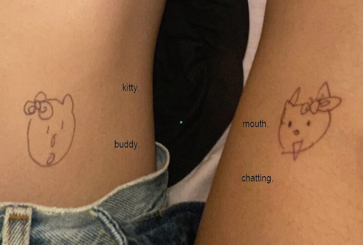 kitty,mouth,buddy,chatting, south